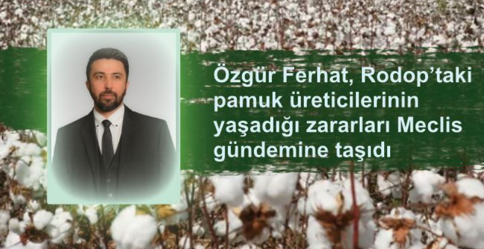 Özgür Ferhat, Rodop’taki pamuk üreticilerinin yaşadığı zararları Meclis gündemine taşıdı